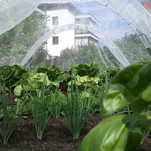 Insektenschutznetz Hochbeet Innenansicht